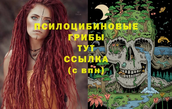 прущий лед Алексеевка