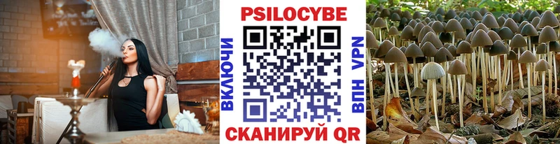 Псилоцибиновые грибы GOLDEN TEACHER  Уссурийск 
